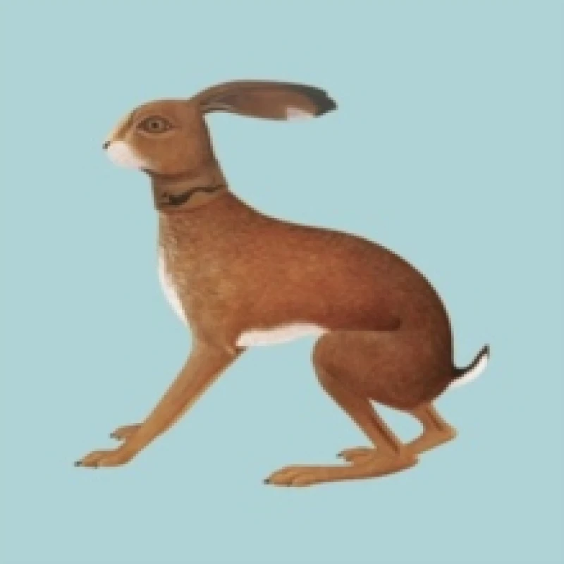 Image of Lookaftering (Expanded Edition) Vinyl