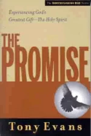 Image of promise experiencing gods greatest gift the holy spirit