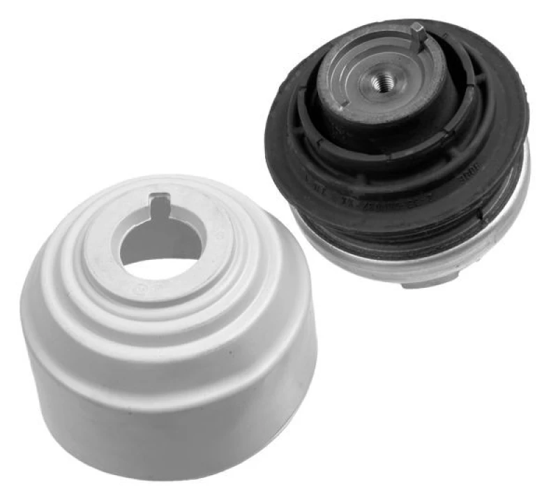 Image of Engine mount LEMFORDER 25407 01