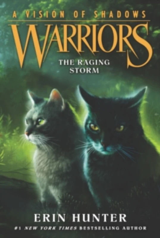 Image of warriors a vision of shadows 6 the raging storm 9780062386595