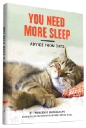 Image of you need more sleep advice from cats