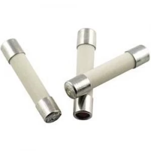 Image of Micro fuse x L 5mm x 25mm 1.6 A 250 V Medium time lag mT