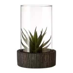Image of Olivia's Large Succulent With Black Stone Base