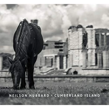 image of Neilson Hubbard - Cumberland Island CD