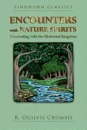 Image of encounters with nature spirits co creating with the elemental kingdom