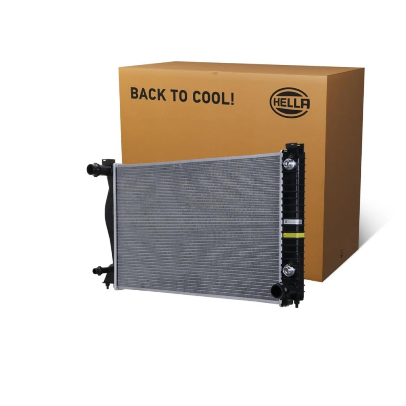 Image of HELLA Engine radiator HELLA 8MK 366 300-561