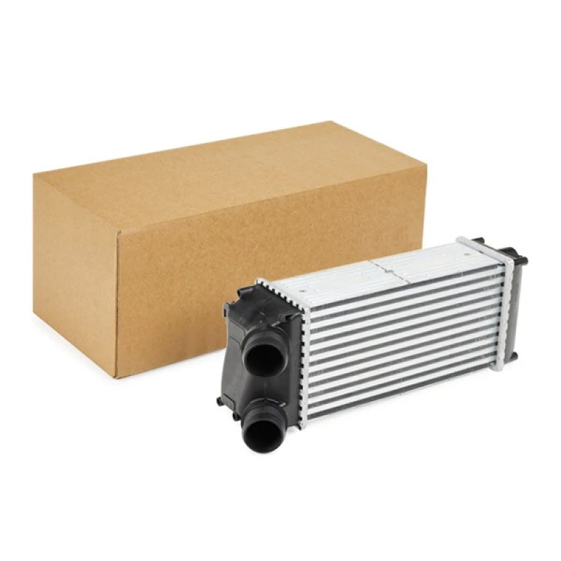 Image of RIDEX Intercooler RIDEX 468I0219