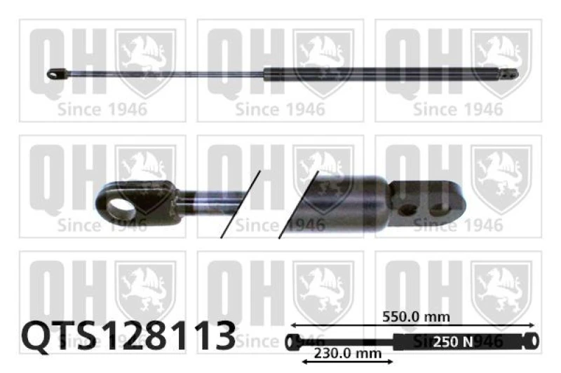 Image of QUINTON HAZELL Tailgate strut QUINTON HAZELL QTS128113
