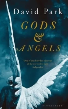 Image of Gods and Angels by David Park Paperback