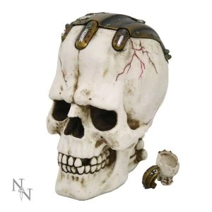 Image of Frank Skull