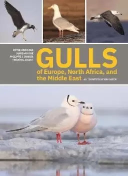 Image of Gulls of Europe, North Africa, and the Middle East by Peter Adriaens