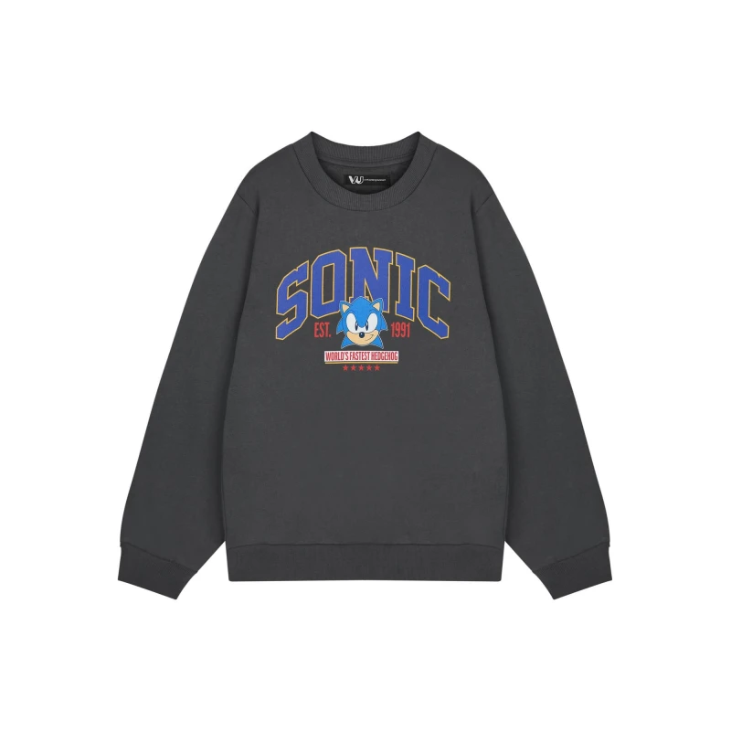 Image of Sonic the Hedgehog Sweatshirt Grey male