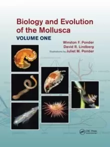 Image of Biology and Evolution of the Mollusca, Volume 1