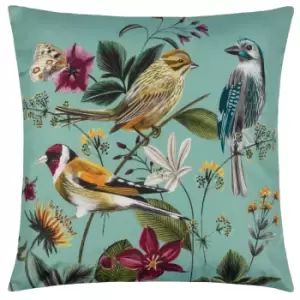 Image of Wylder Nature Midnight Garden Birds Outdoor Cushion Aqua