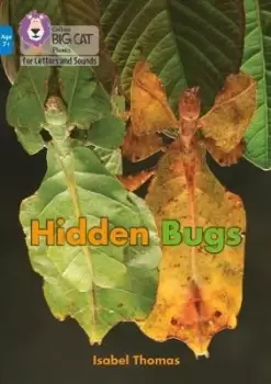 Image of Hidden Bugs by Isabel Thomas