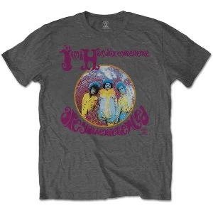 Jimi Hendrix - Are You Experienced Unisex Medium T-Shirt - Grey