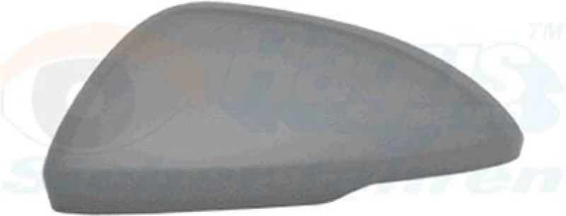 Image of VAN WEZEL Wing mirror cover VAN WEZEL 3810843