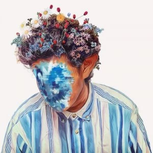Image of The Fall of Hobo Johnson by Hobo Johnson CD Album
