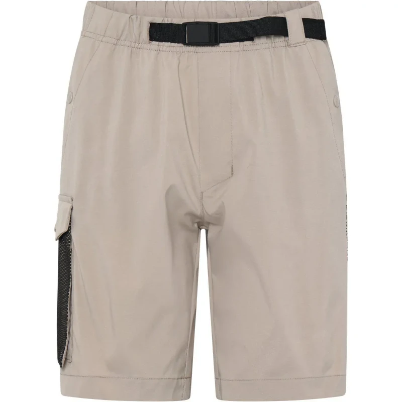 Image of Children's hiking shorts Didriksons Quartz Beige Male 14 ans +