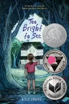 Image of Too Bright to See