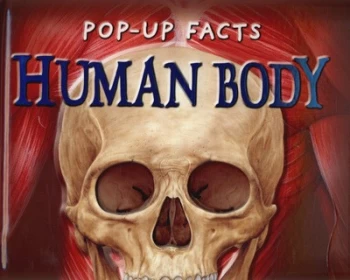 Image of Human Body. by Emily Hawkins and Sue Harris and Andy Mansfield and Kim Thompson and Ross Francis and Rachael Pery-Johnston Hardback