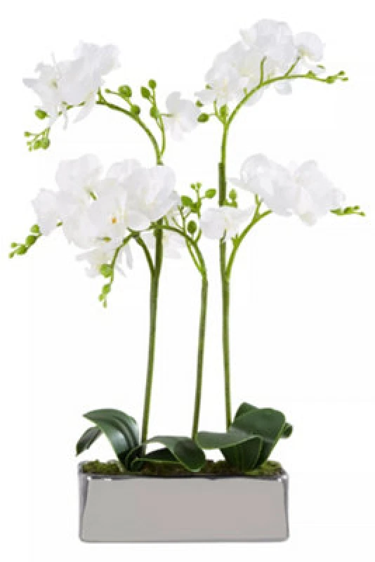 Image of Premier Housewares Fiori White Orchid Plant in Rectangular Pot Silver