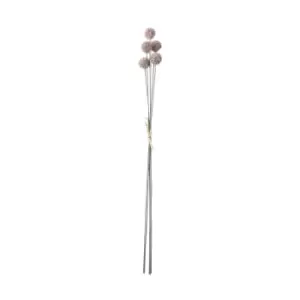 Image of Crossland Grove Echinops Bundle Lilac (12Pk) 660Mm