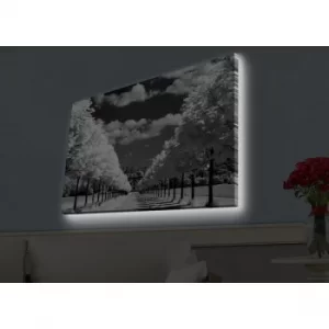 Image of 4570HDACT-029 Multicolor Decorative LED Lighted Canvas Painting