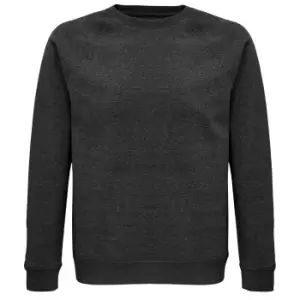 Image of SOLS Unisex Adult Space Organic Raglan Sweatshirt (L) (Charcoal Marl)
