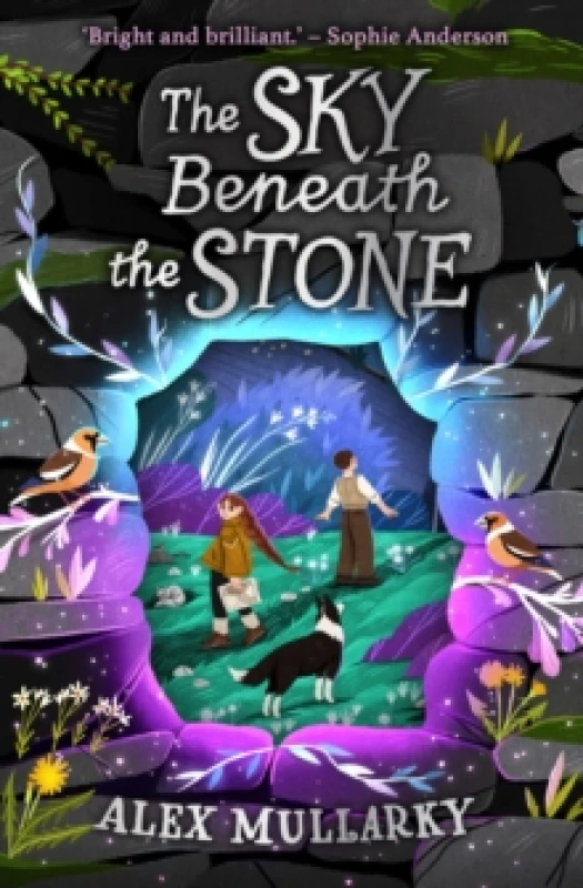 Image of Alex Mullarky The Sky Beneath the Stone Book Multi unisex