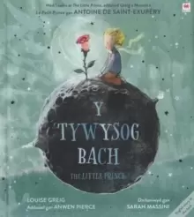 Image of Tywysog Bach, Y / Little Prince, The