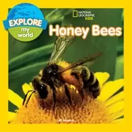 Image of explore my world honey bees