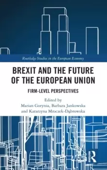 Image of Brexit and the Future of the European Union : Firm-Level Perspectives