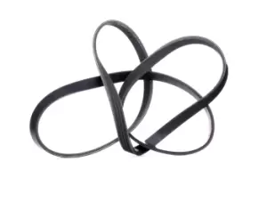 Image of RIDEX V-ribbed belt 305P0326 Serpentine belt,Auxiliary belt FORD,TRANSIT MK-5 Bus (E_ _),Transit Mk4 Pritsche/Fahrgestell (VE83)