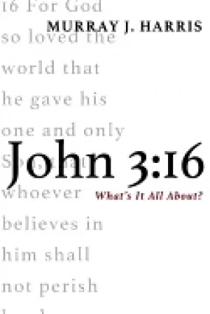 Image of john 3 16