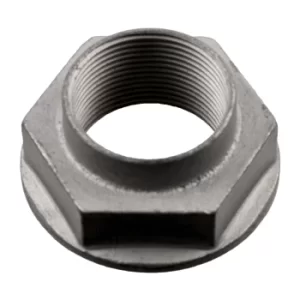 image of Axle Nut 100753 by Febi Bilstein