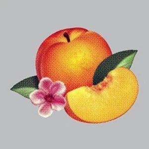 image of Bankrupt by Phoenix CD Album