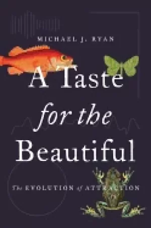 Image of taste for the beautiful the evolution of attraction