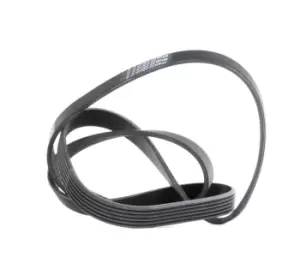 CONTITECH V-ribbed belt VW,AUDI,BMW 6PK1555 06D903137F,11281427250,11281437368 11281437929,11281703561,11281726689,11287516181,11287529738,11287544786