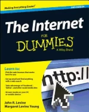 Image of internet for dummies