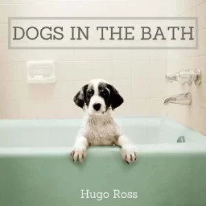 Image of Dogs in the bath by Hugo Ross