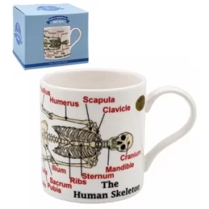 Image of Educational Mug Skeleton