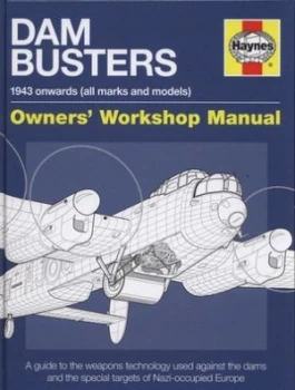 Image of Dam Busters by Iain Robert Murray Hardback