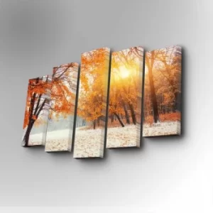 Image of 5PUC-032 Multicolor Decorative Canvas Painting (5 Pieces)