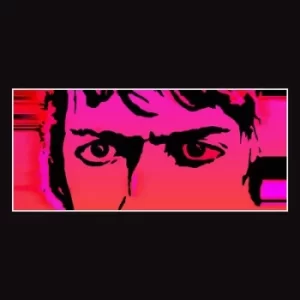 Image of Till I Burn Up by Delicate Steve CD Album