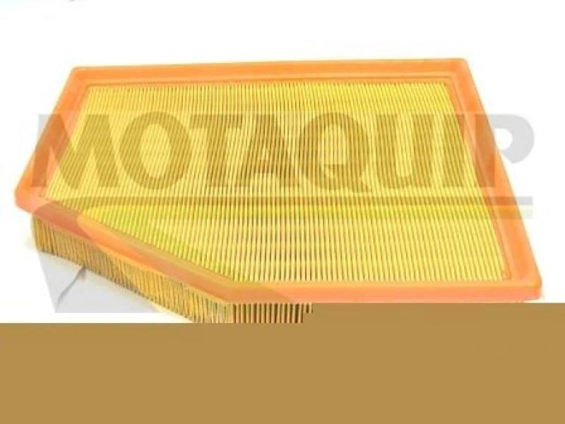 Image of MOTAQUIP Air filter MOTAQUIP VFA1164