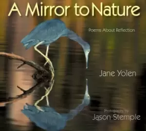Image of Mirror to Nature A by Jane Yolen