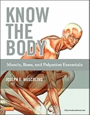 Image of know the body muscle bone and palpation essentials