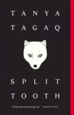 Image of split tooth