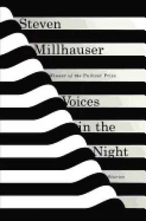 Image of voices in the night stories